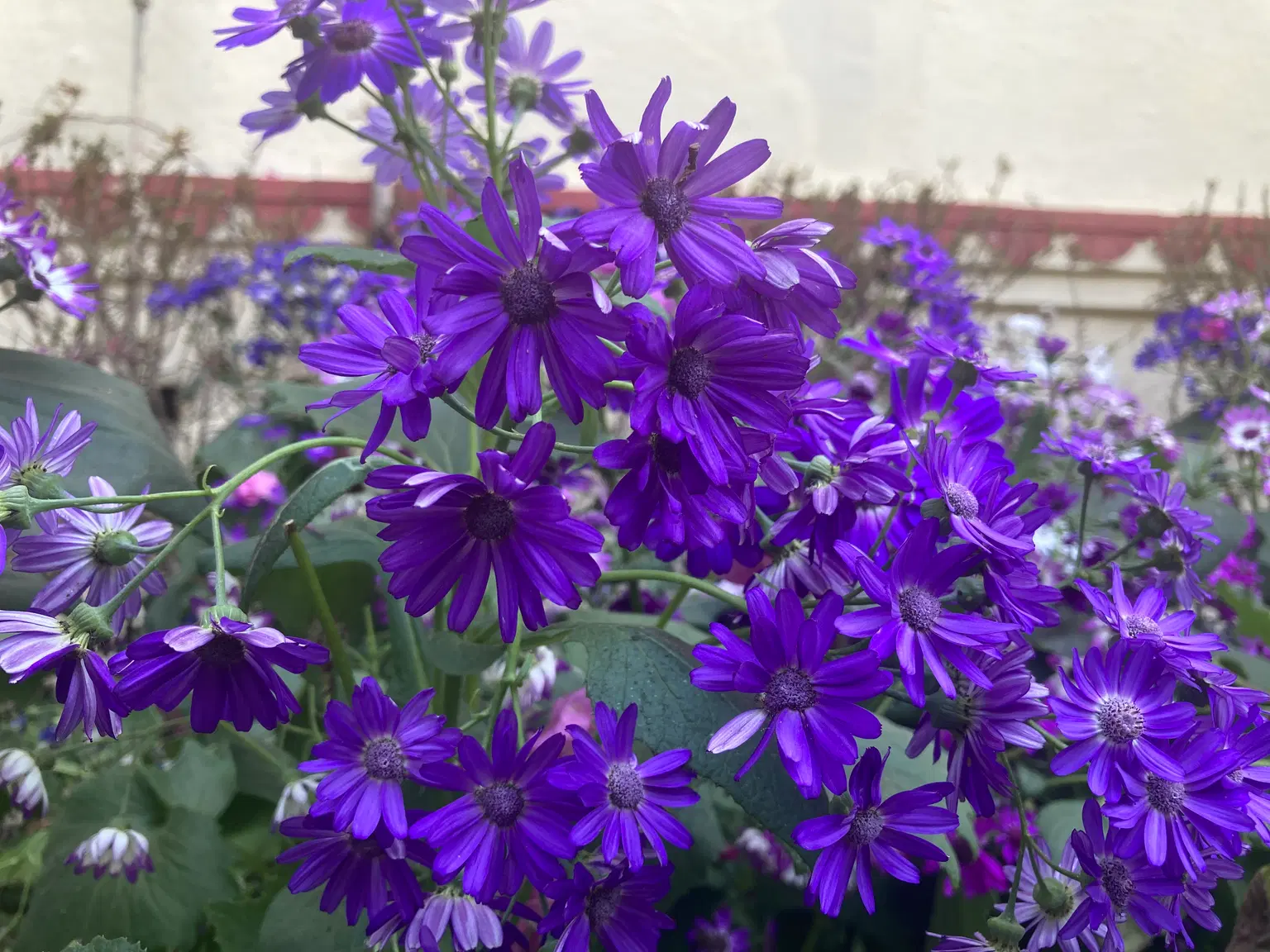 Photo from Abhijith  S A's trip