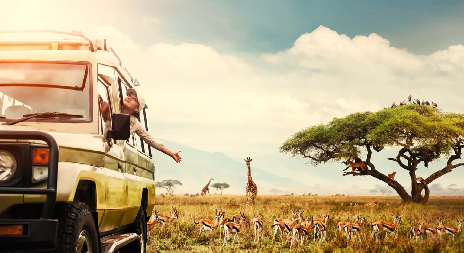 Classic Kenya | Group Tour Package