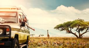 Tourists enjoying a game drive in Kenya