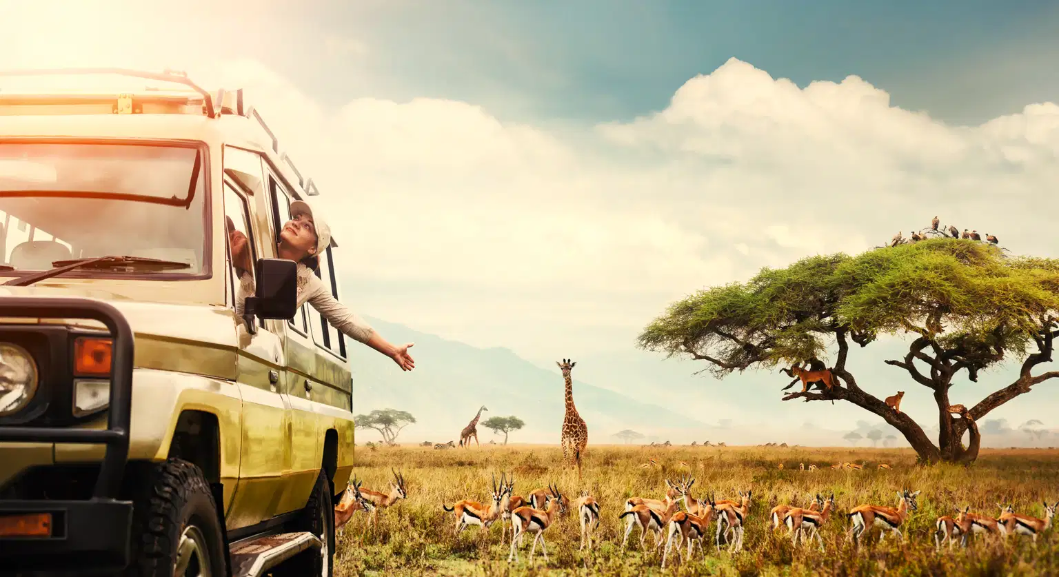 Classic Kenya | Group Tour Package
