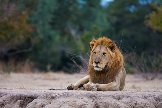 Lower Zambezi National Park