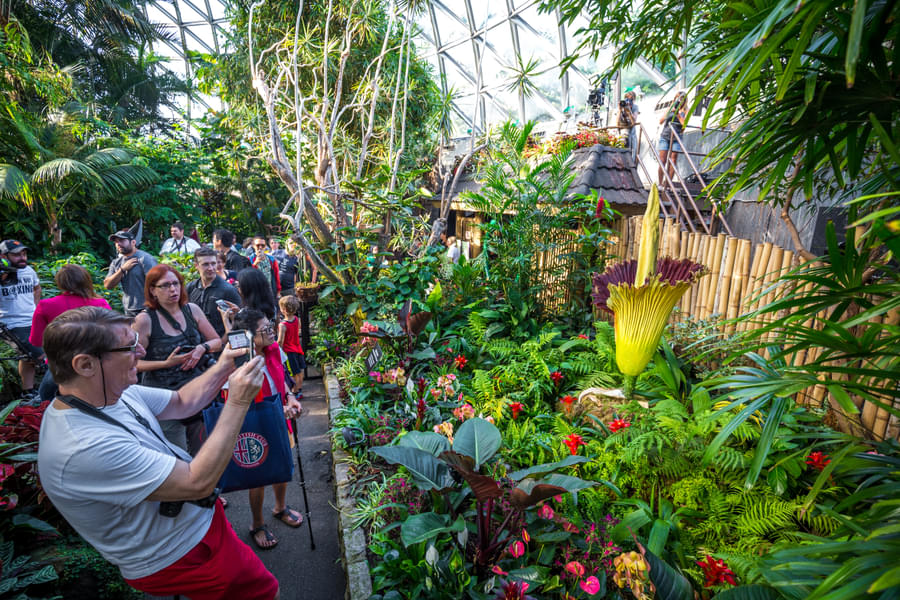 Bloedel Conservatory Tickets Image