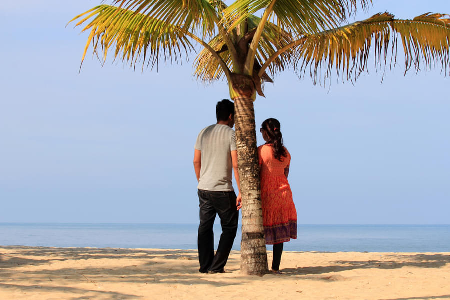 Munnar Alleppey Honeymoon Package from Bangalore Image