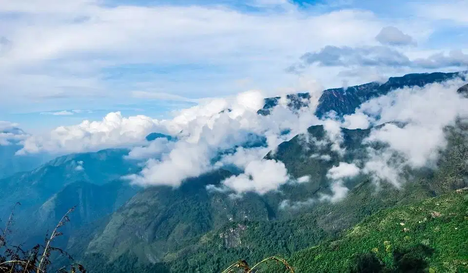 Scenic Trek to Canopy Hill Vattakanal