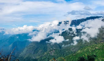 Scenic Trek to Canopy Hill Vattakanal