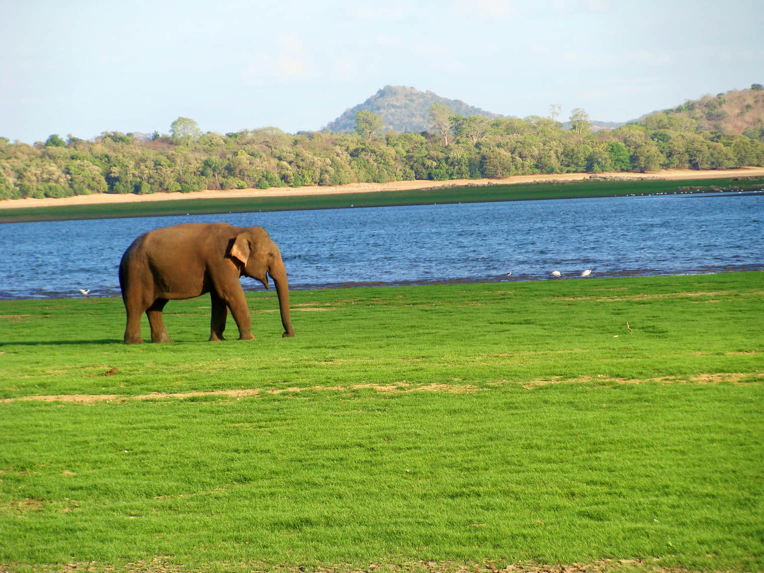 Maduru Oya National Park