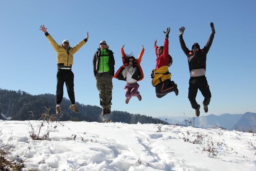 Adventurous New Year Celebration With Paragliding In Bir Image