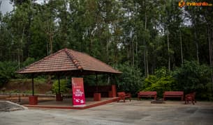 96106vveldmd27lhuczm9vr5hmza 16 %20silverwoods