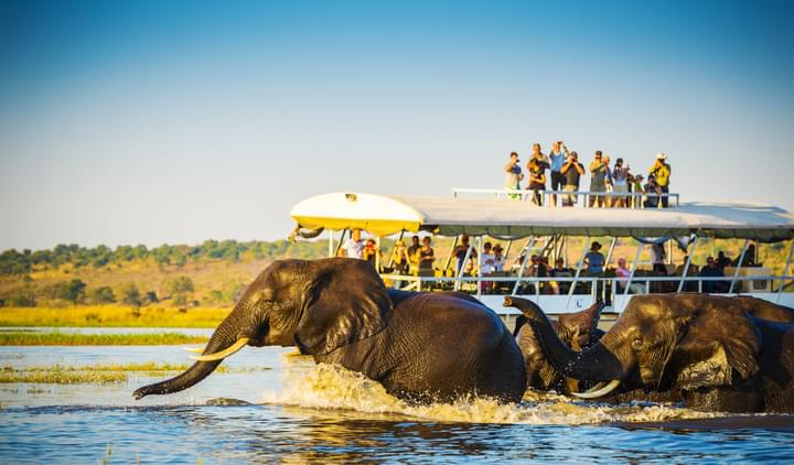 Botswana Safari.jpeg