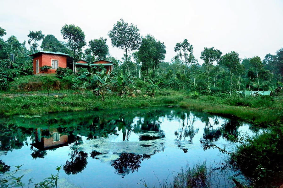 A Green Paradise in the Land of Coffee, Coorg Image