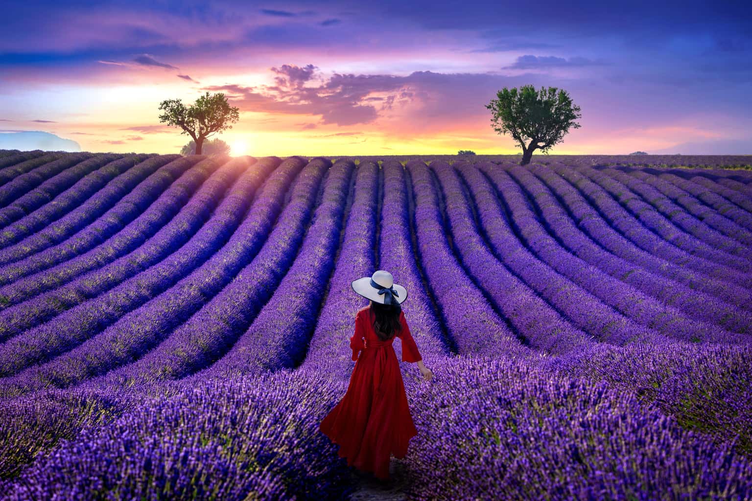 Highlights of France