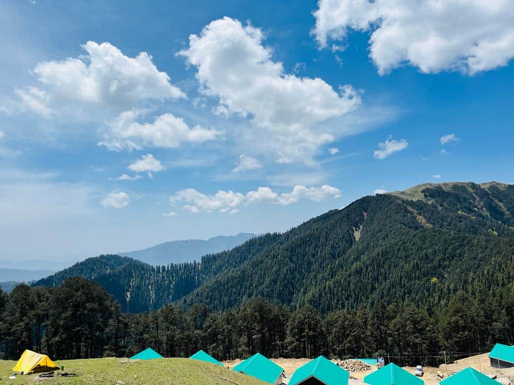 Traveller photo