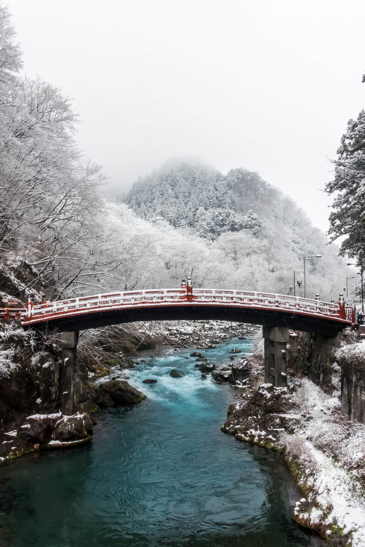 Snow-covered bamboo forest pathway in Arashiyama, Kyoto.