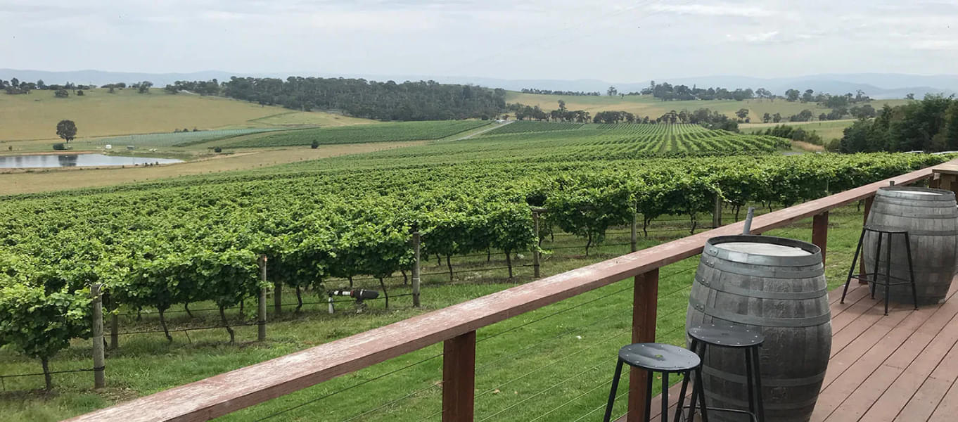 Yarra Valley Wine Tours in Melbourne Image