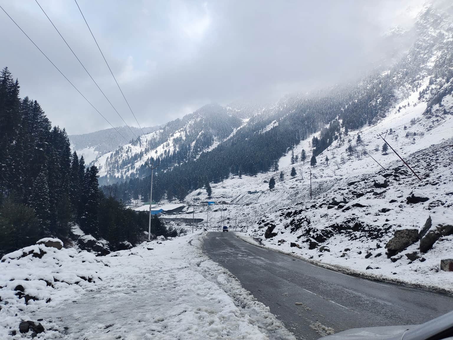 Photo from Tanushree Mitra's trip