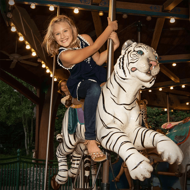 Soaring Eagle Zip Line Nashville Zoo