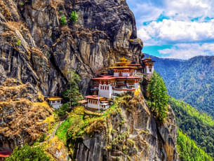 Explore Bhutan | FREE Motithang Takin Preserve Excursion