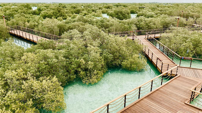 Jubail Mangrove Park