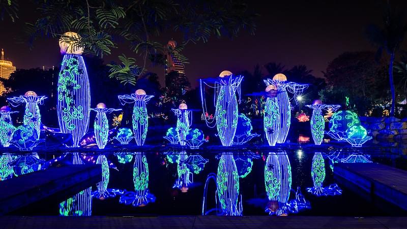 how to go to dubai garden glow