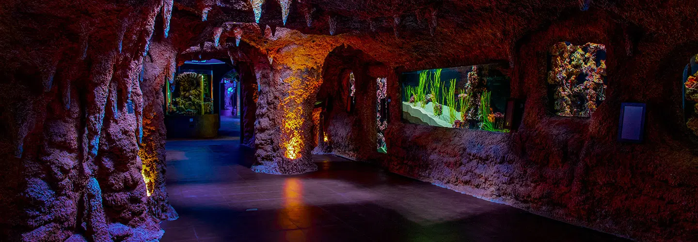 Atlantic Cave