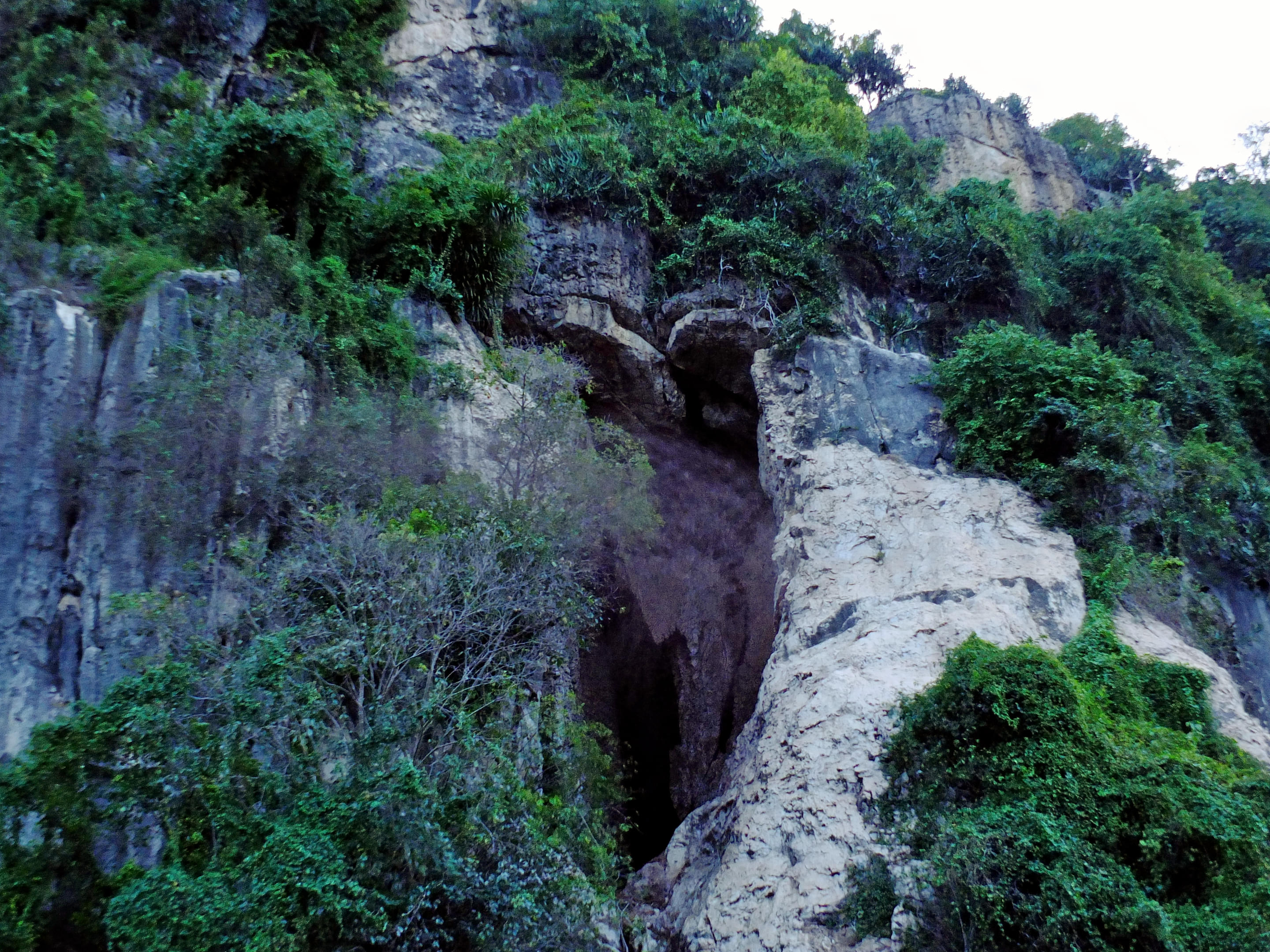 Battambang Bat Caves Overview