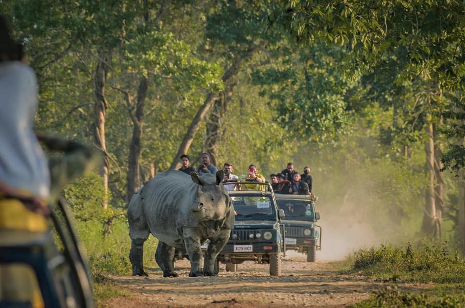 Kaziranga Guwahati | FREE Jeep Safari Image