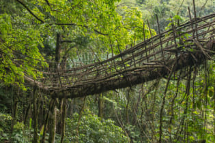 Living Root Bridge Riwai Village