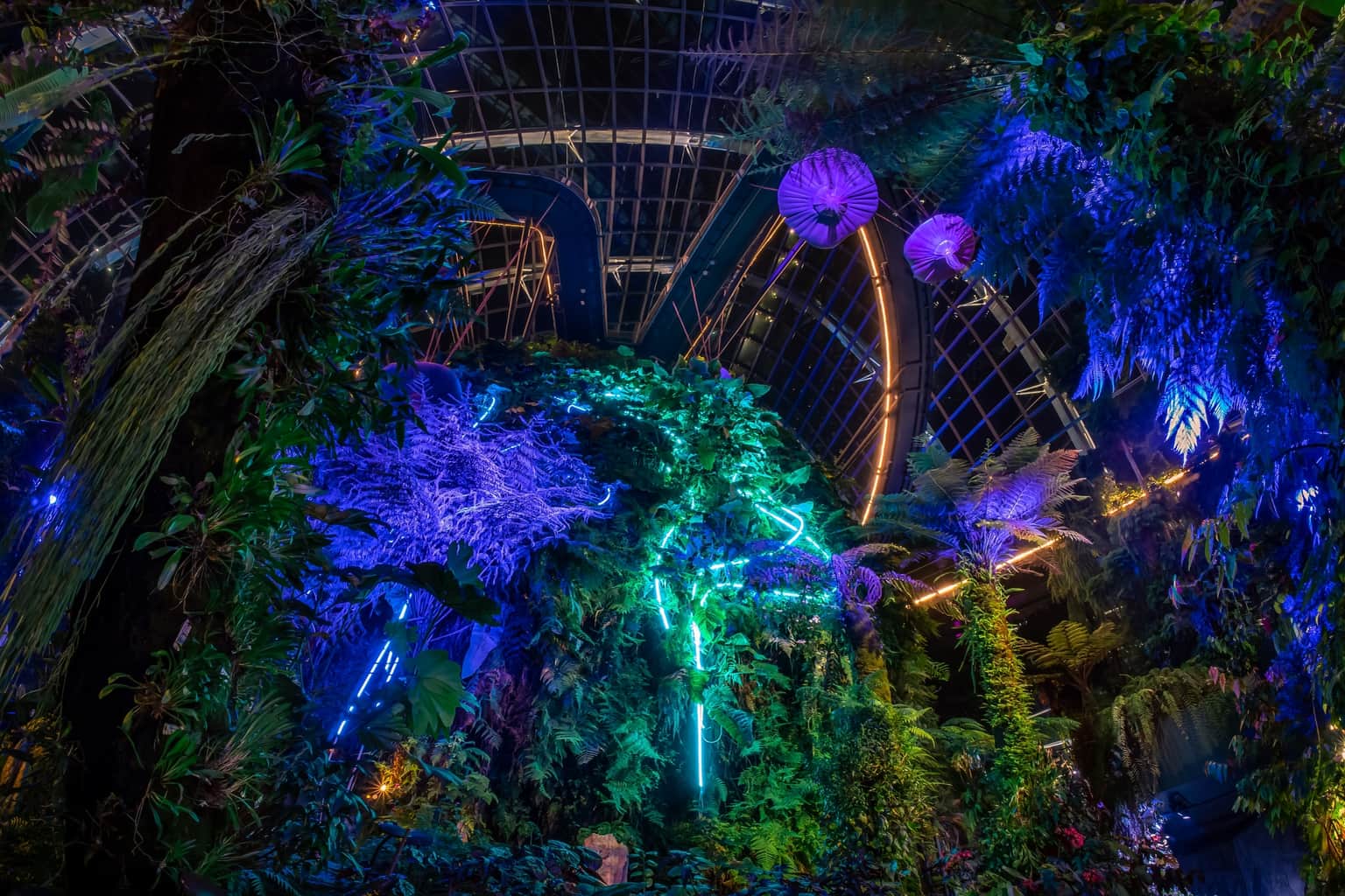 Explore Tranquillity at Singapore Botanic Gardens