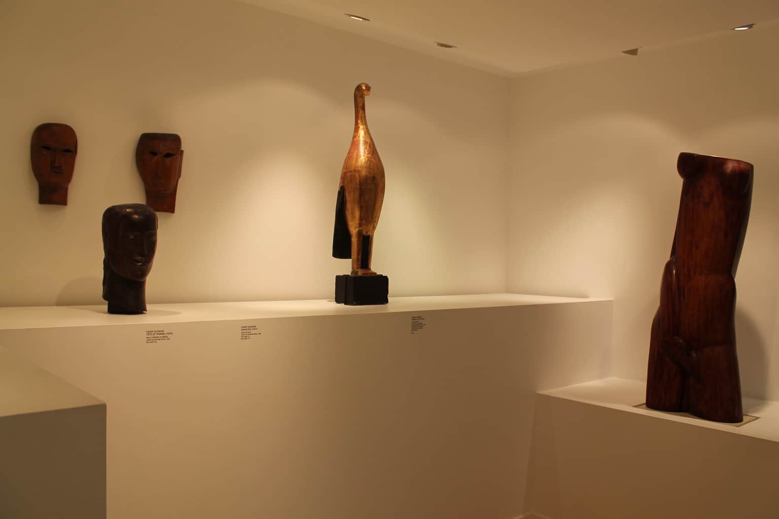 Collection