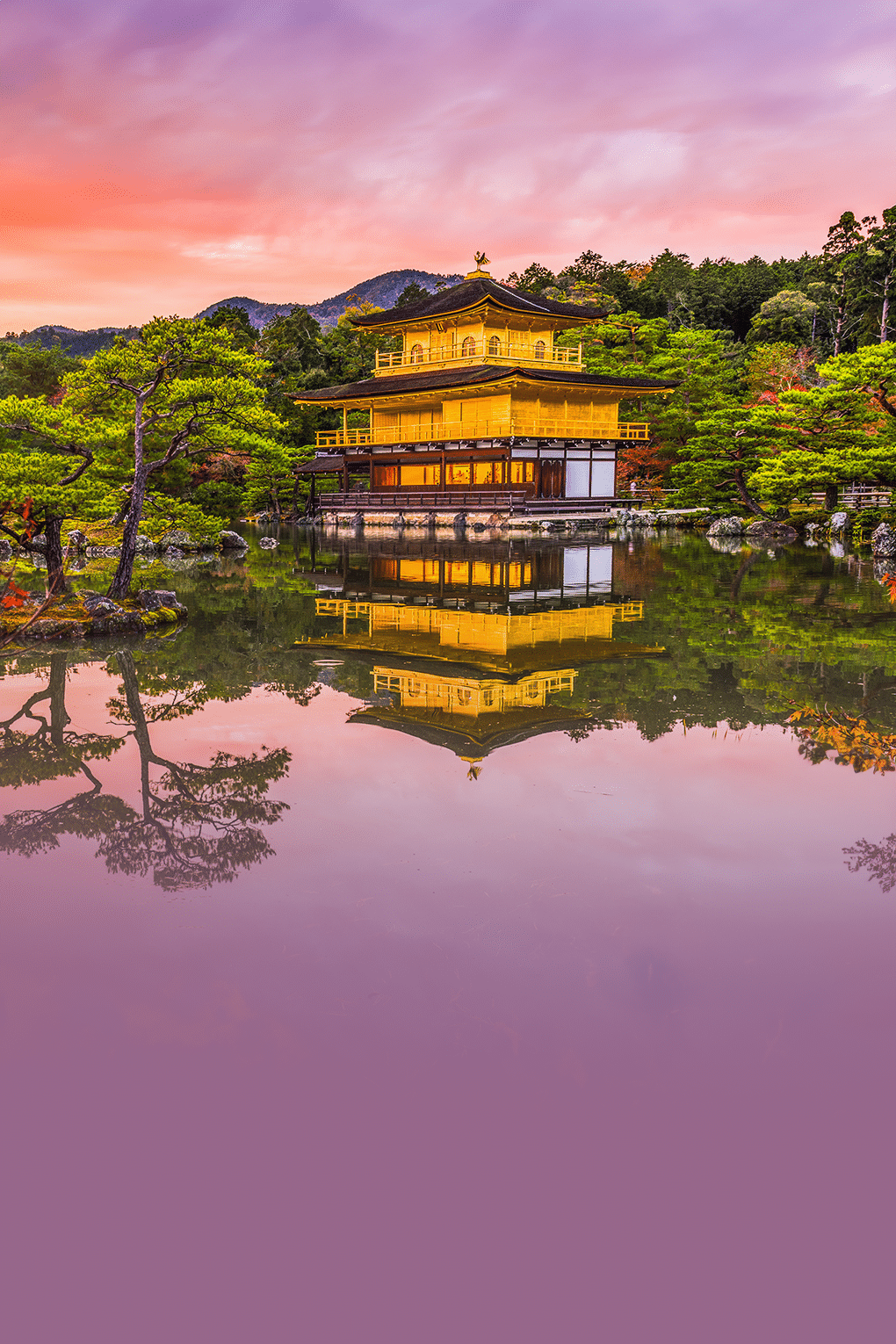 Legends of Japan | Journey Across Diverse Landscapes