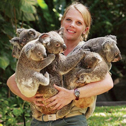 Kuranda Koala Gardens