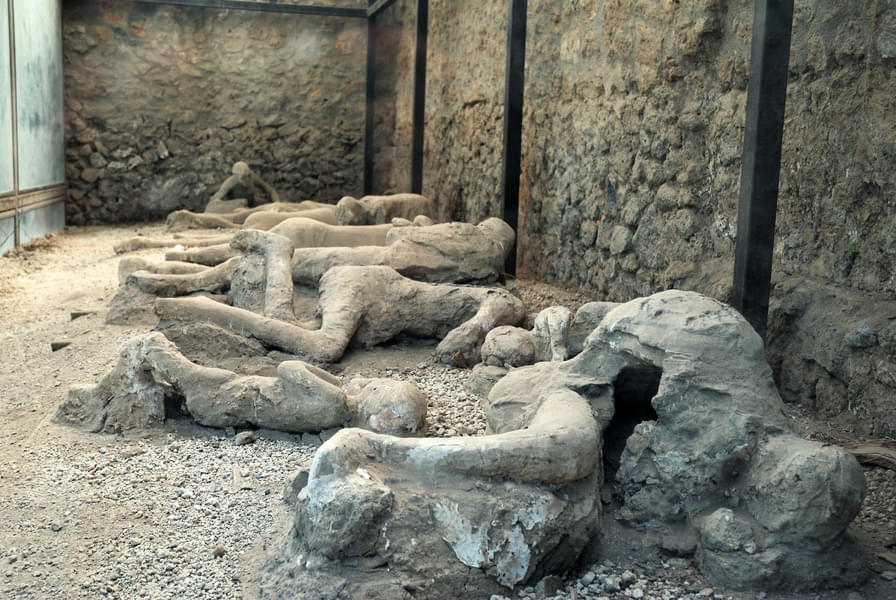 See the buried remains of humans preserved from Ashes to Artifacts