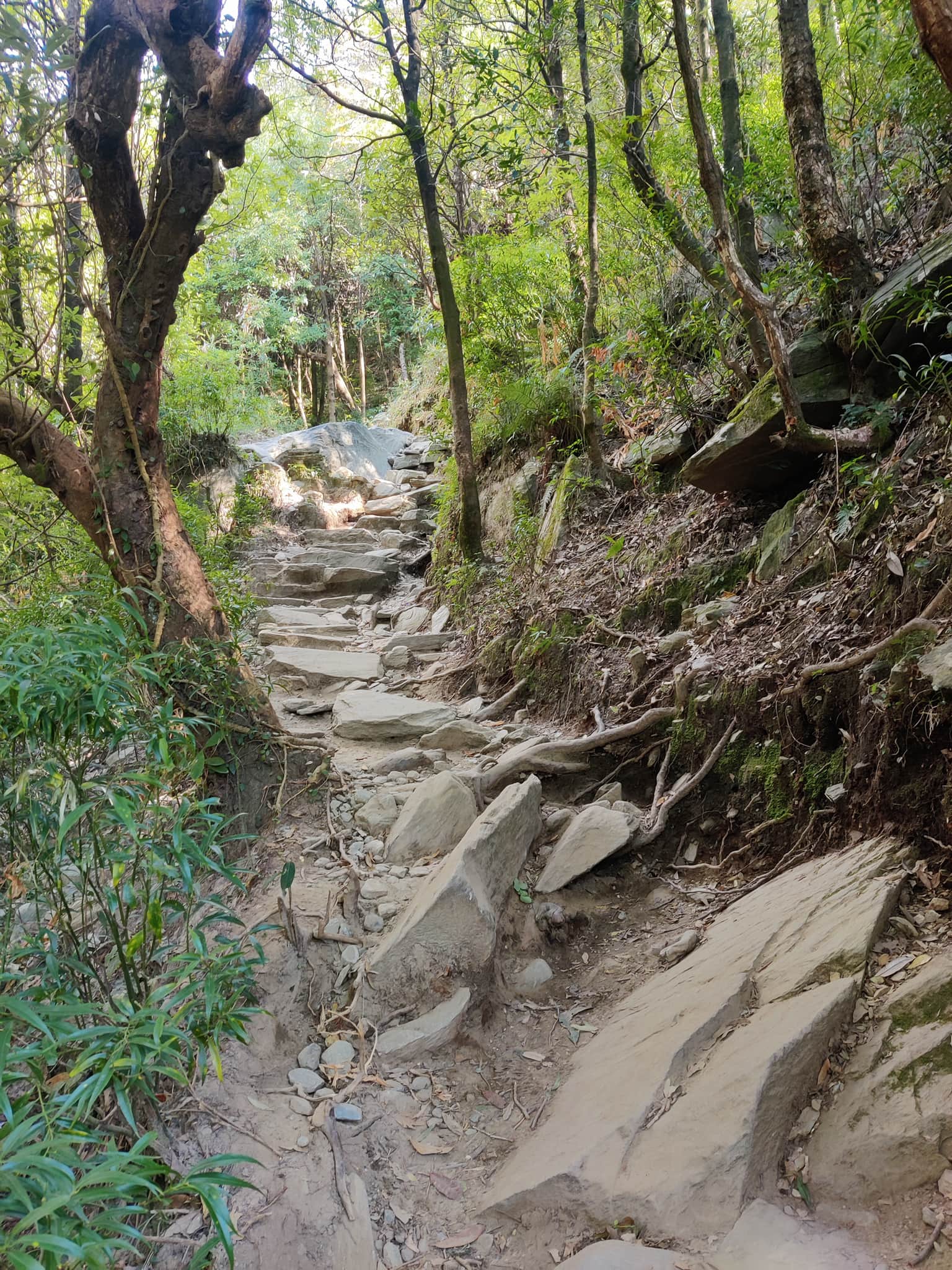 Photo from Harshit 's trip