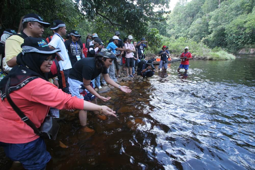 Boat Cruise to Lata Berkoh & Kelah Fish Feeding