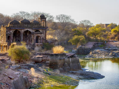 Delhi Agra Ranthambore Tour Package Day 2