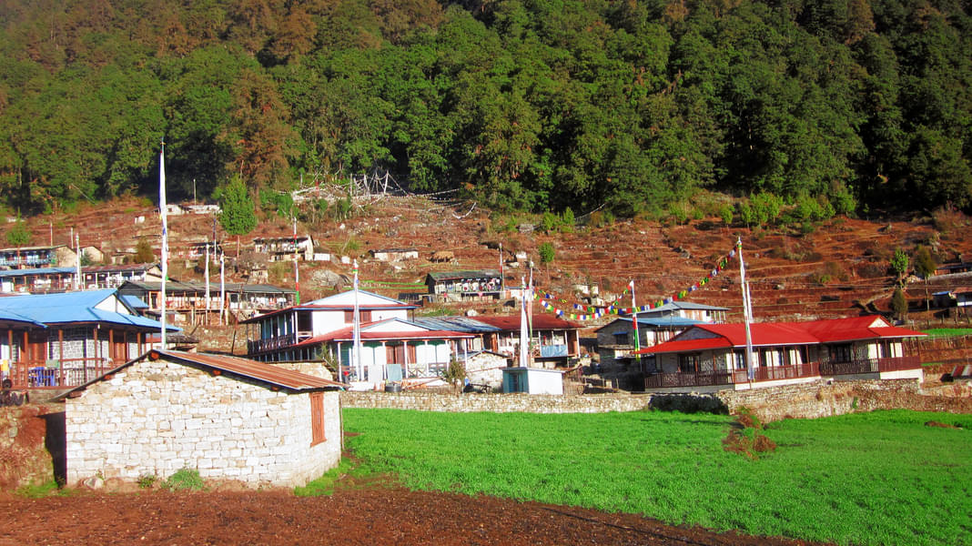9 Days Trek to Helambu in Kathmandu Image