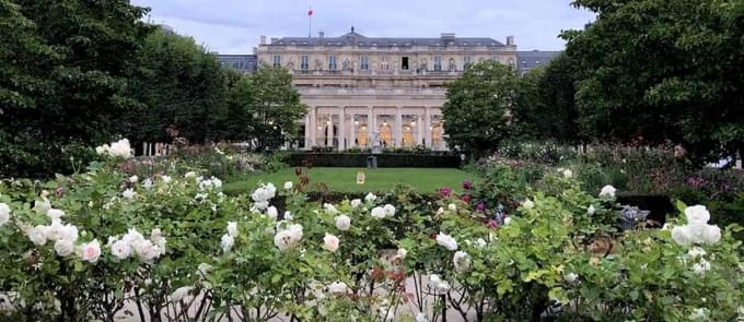Garden of Domaine National Du Palais Royal, Paris