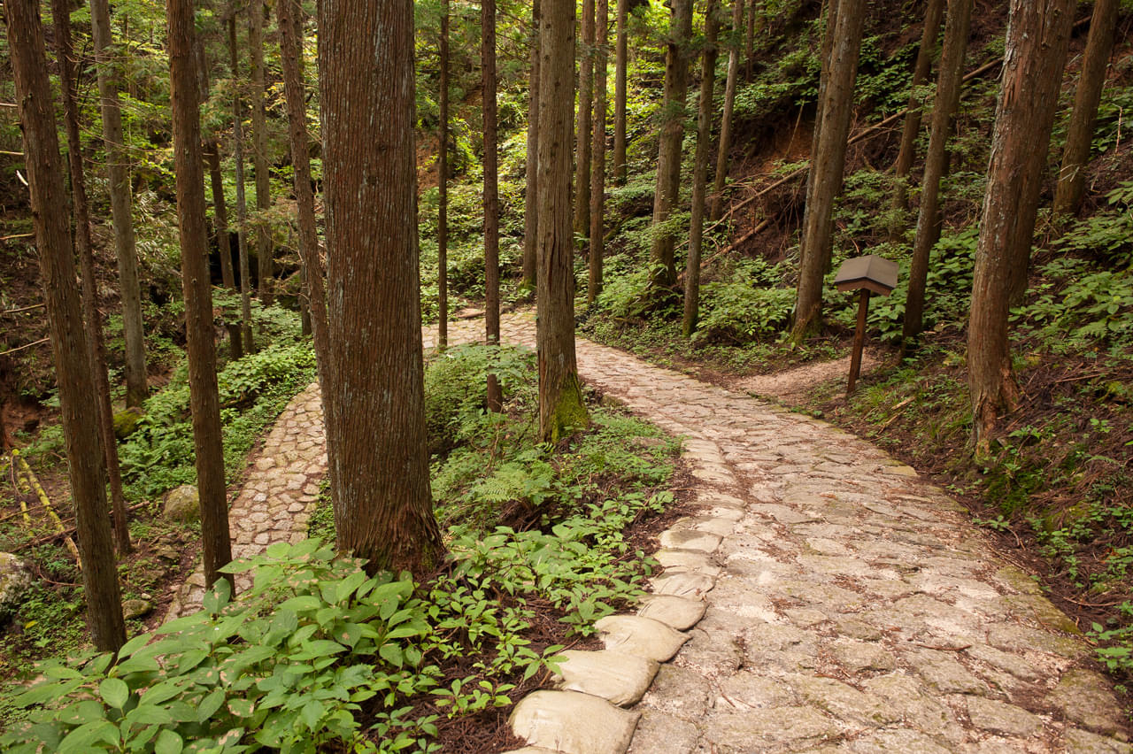 Walk on The Magome Tsumago Trail