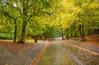 9crai3538r6pz53hyqfkul5i5hif 1619181772 shutterstock 1352515910