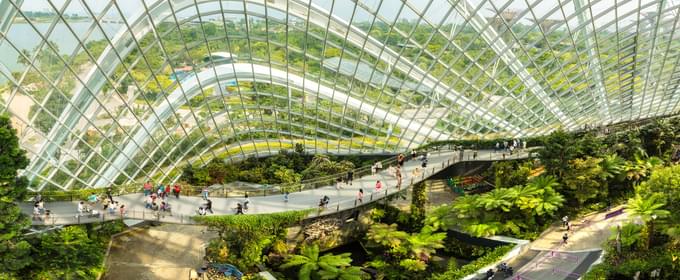 Gardens by the bay