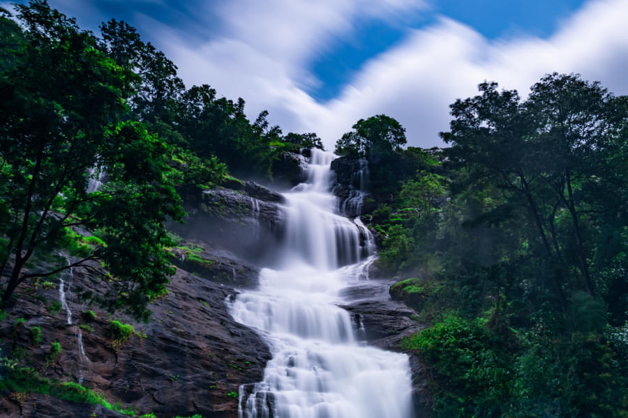 Munnar Thekkady Tour Package | FREE  Rajamalai National Park  Image