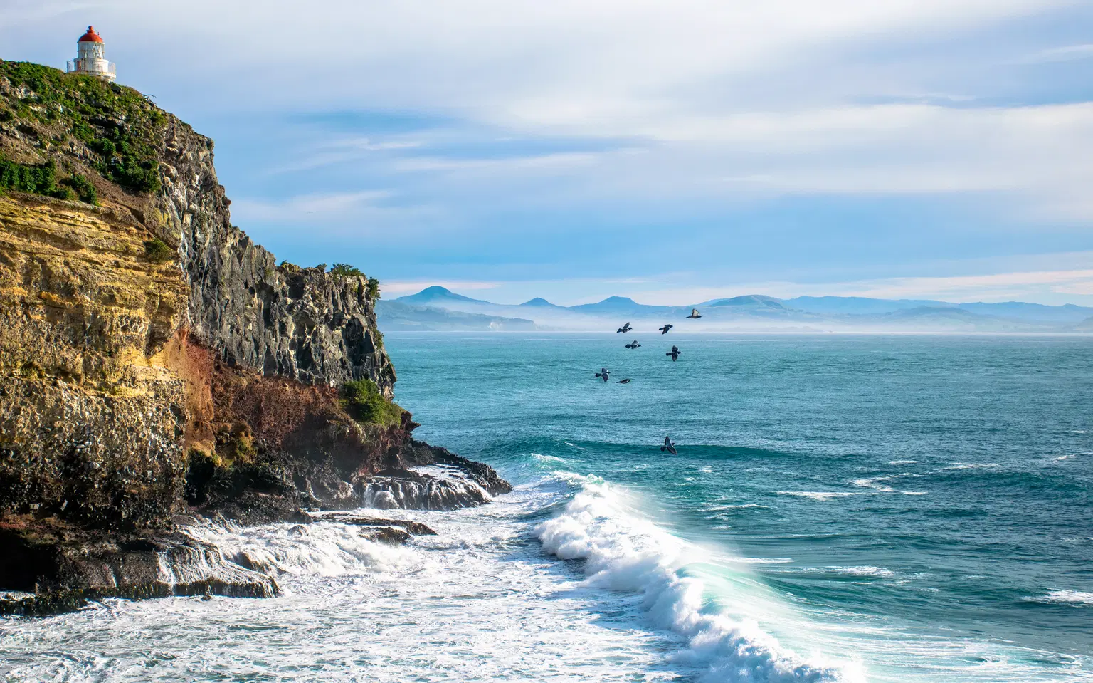 Taiaroa Head