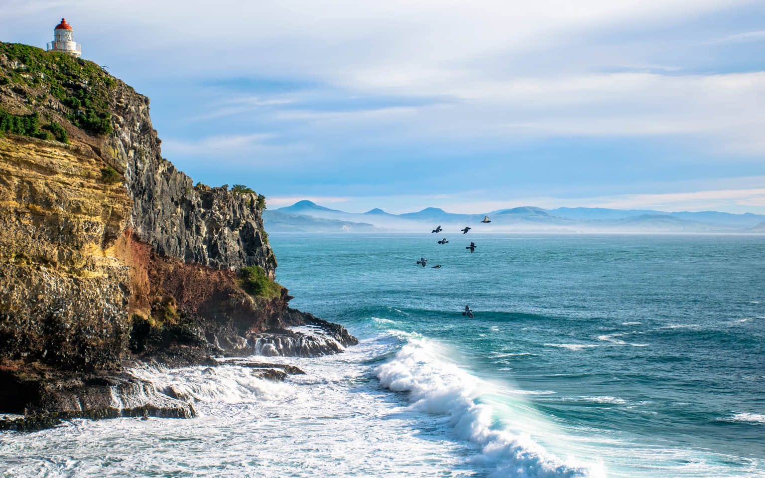 Taiaroa Head