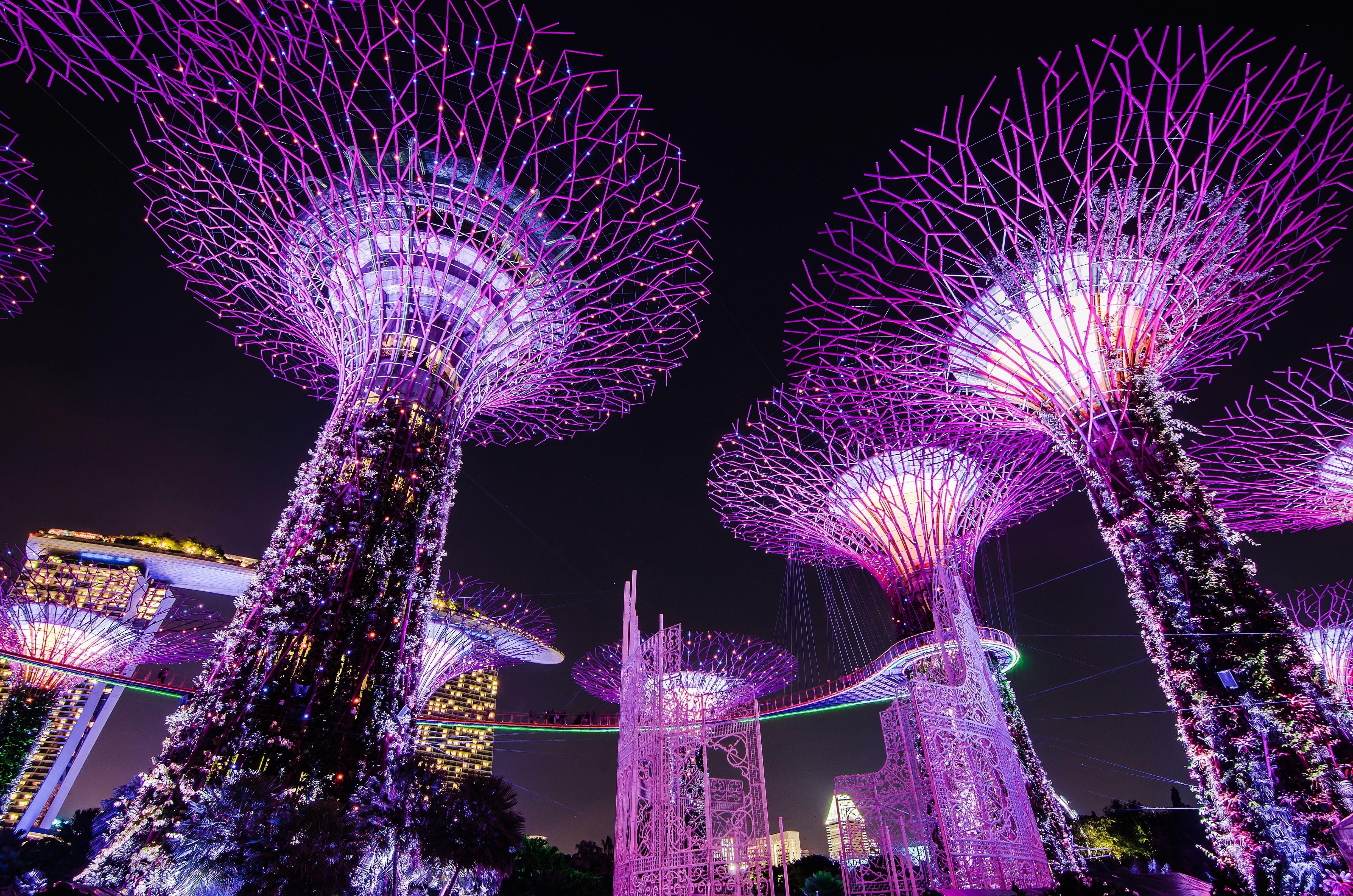 gardens by the bay tree