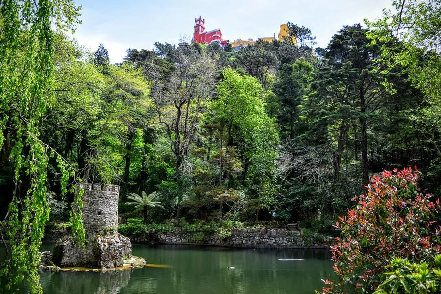 Park of Pena Palace in Pena Park