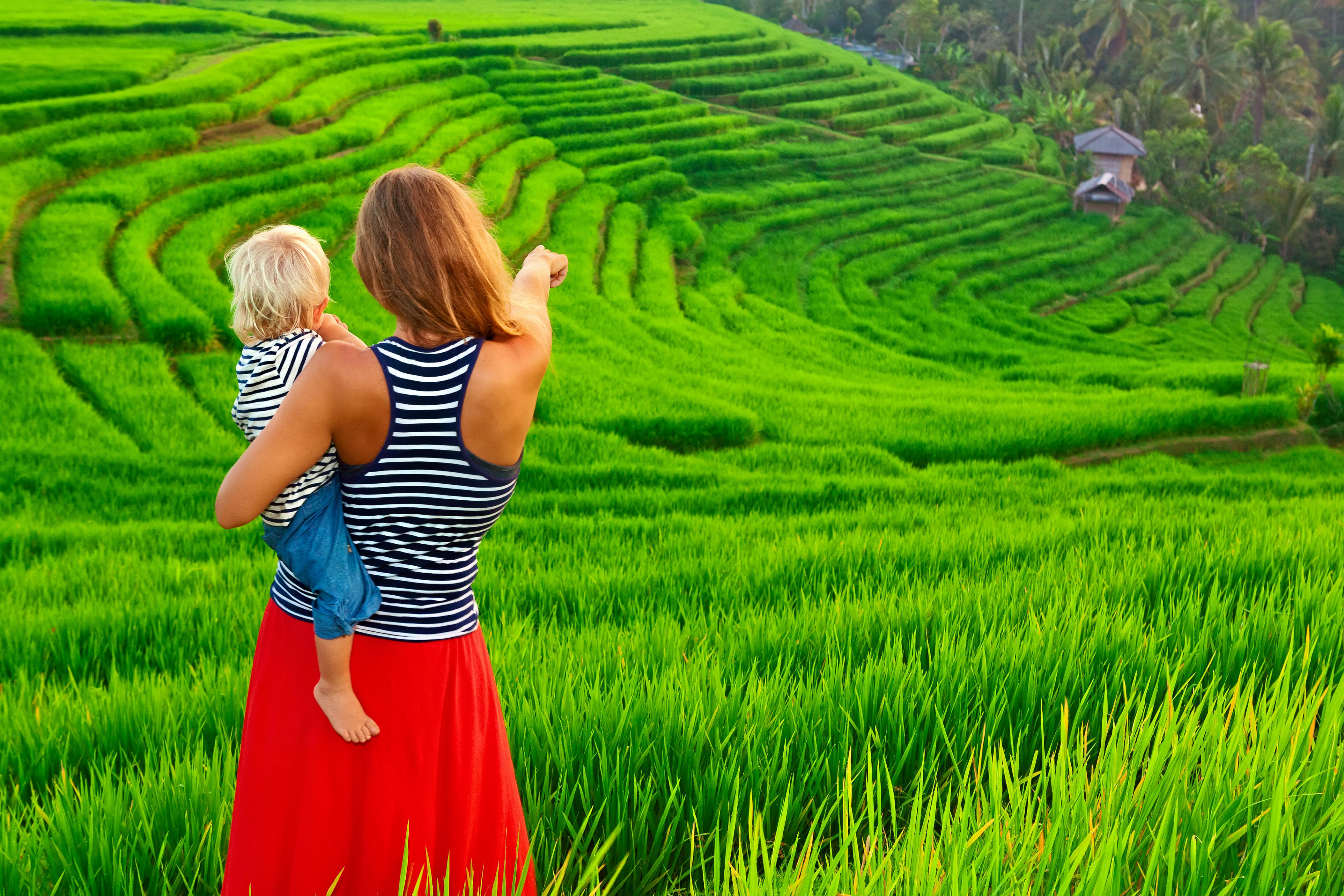 Rice Field Trekking in Ubud