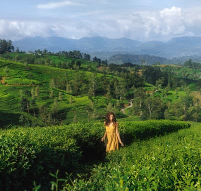 Stroll through Munnar's lush greenery
