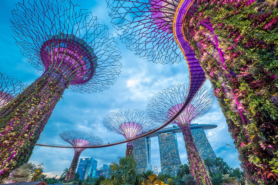 See a variety of plant species at Gardens by the Bay