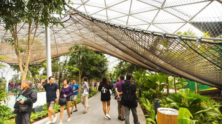 Go to Canopy Park Level 5 for fun experience with everyone