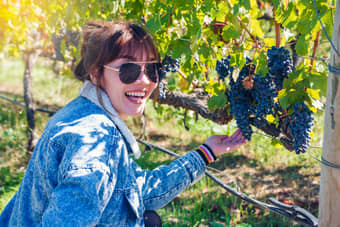 Visit on an exciting San Francisco Wine Tour